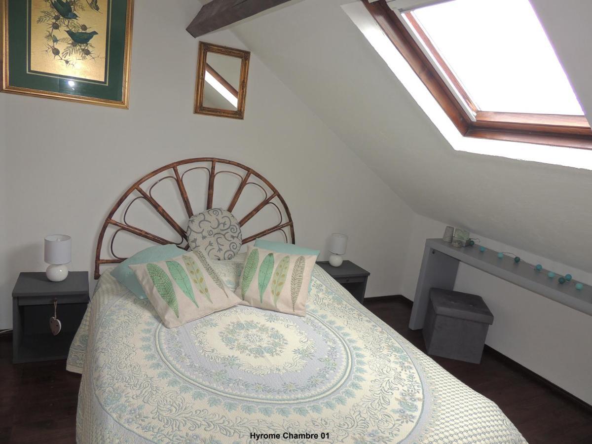 Gite Hyrom 5 Places Moulin De La Placette Faye-d'Anjou Zewnętrze zdjęcie